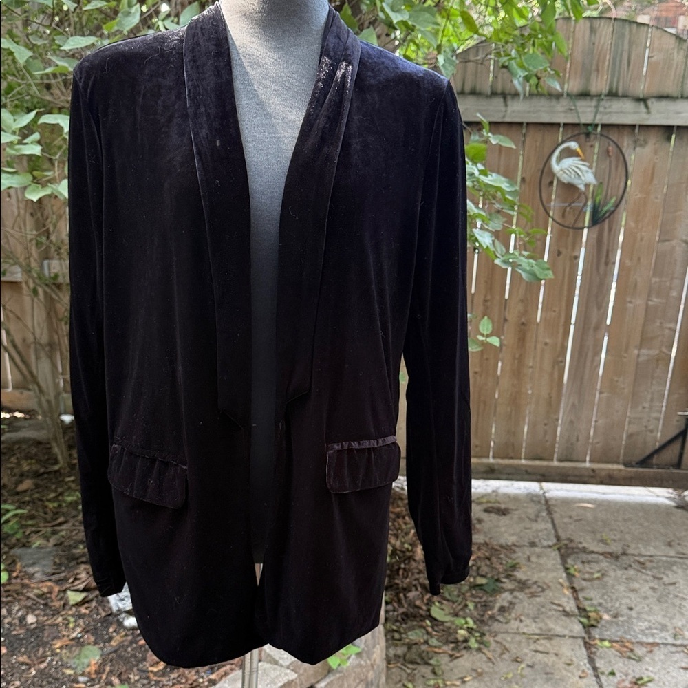 Mint Limit Women’s Black Velvet Blazer with just the right drape. Size Large